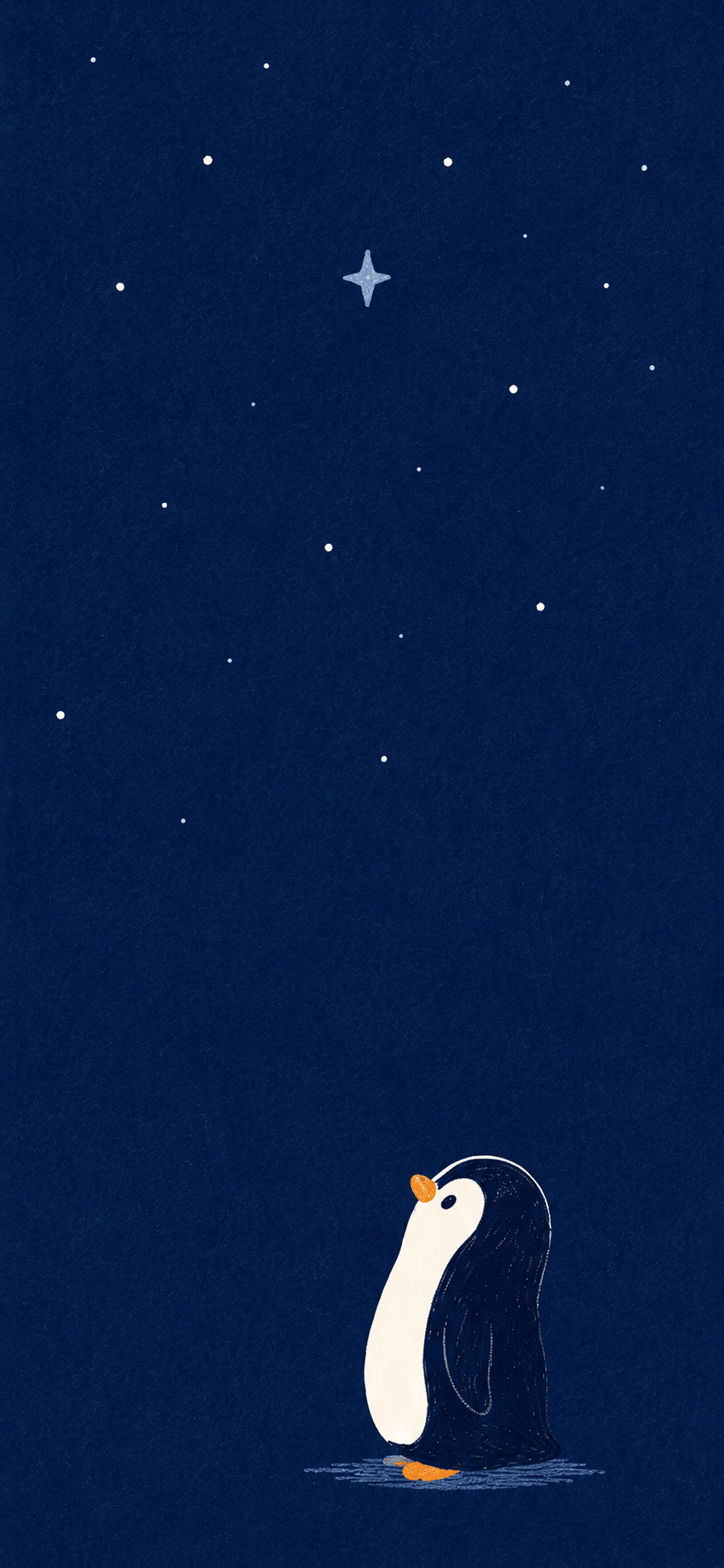 Pip the penguin looking up at a starry sky